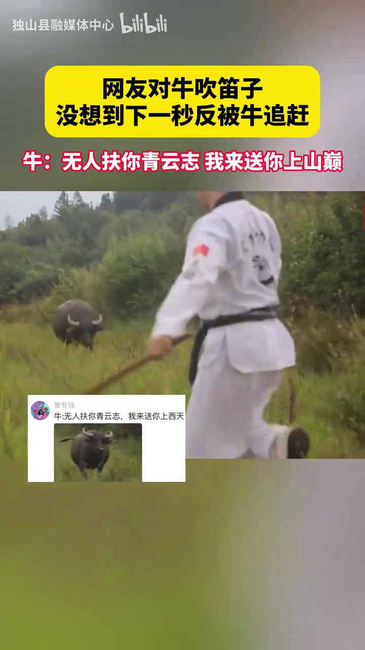 网友对牛吹笛子没想到下一秒反被牛追赶