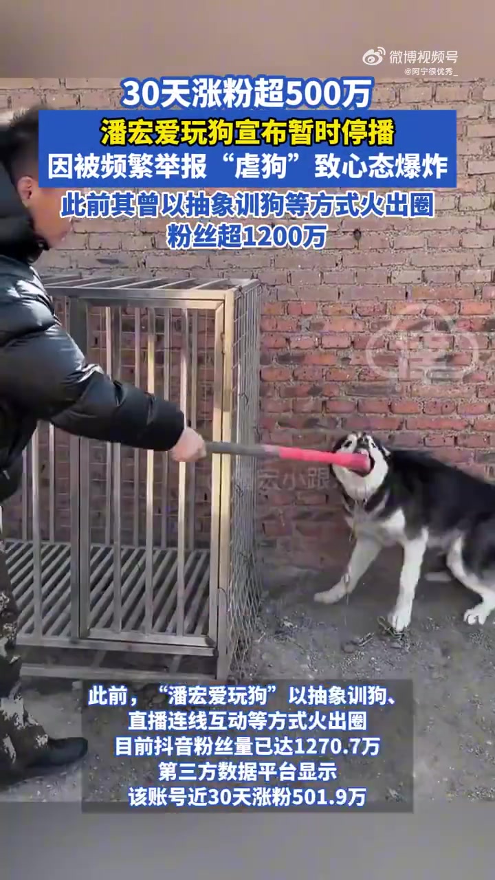 潘宏爱玩狗宣布暂时停播，因被频繁举报“虐狗”致心态爆炸！！