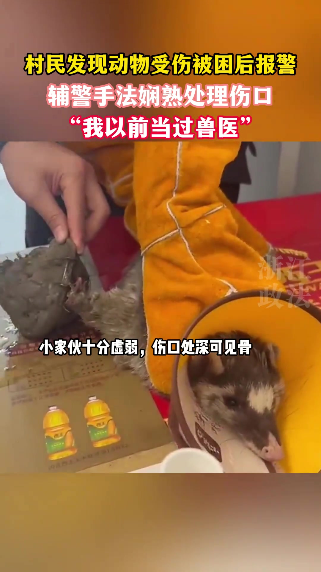 村民发现动物被受伤被困后报警