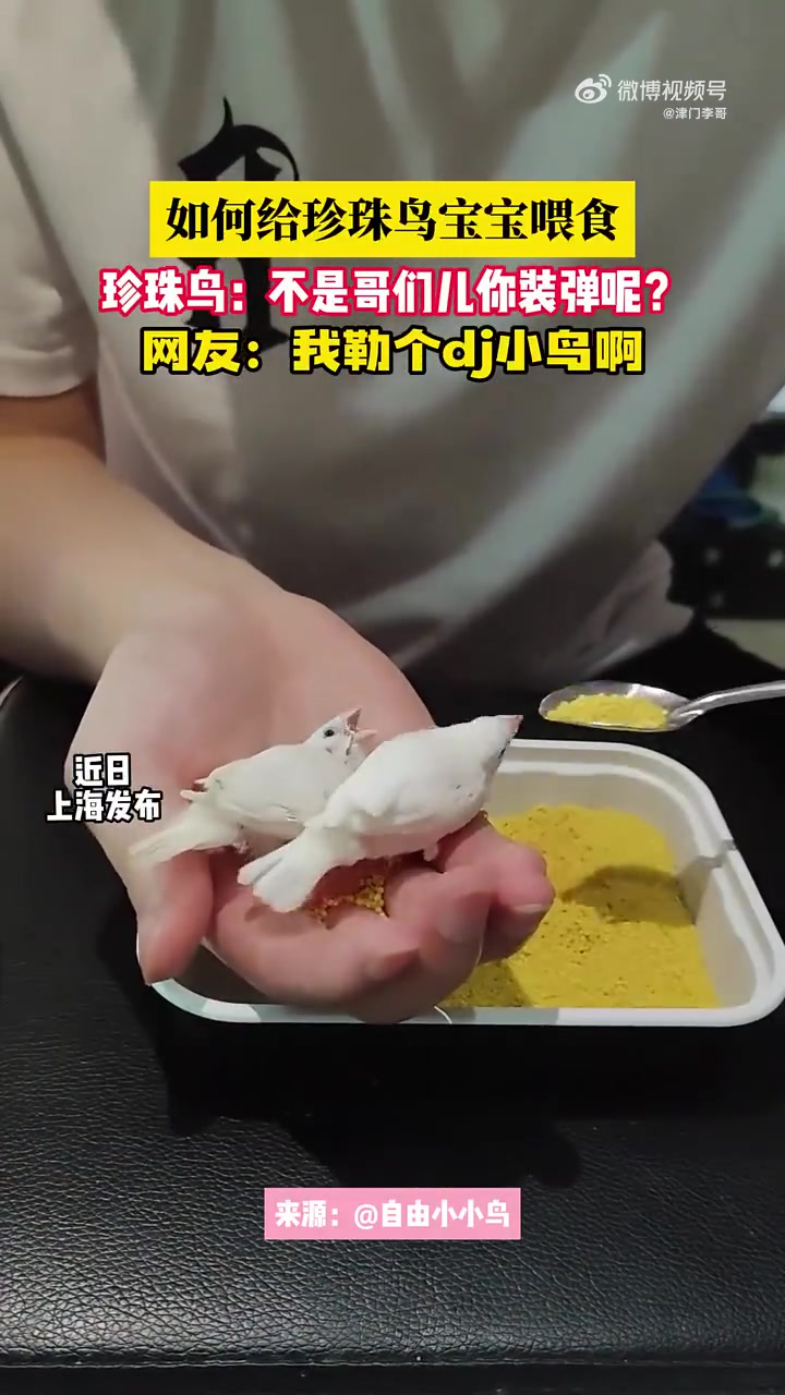 珍珠鸟：不是哥们儿你装弹呢！！