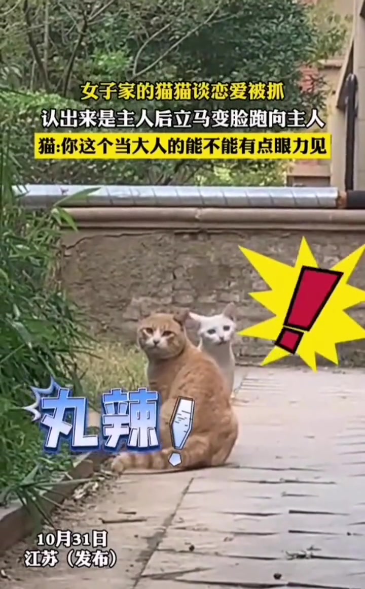 好像是早恋被家长发现的感觉