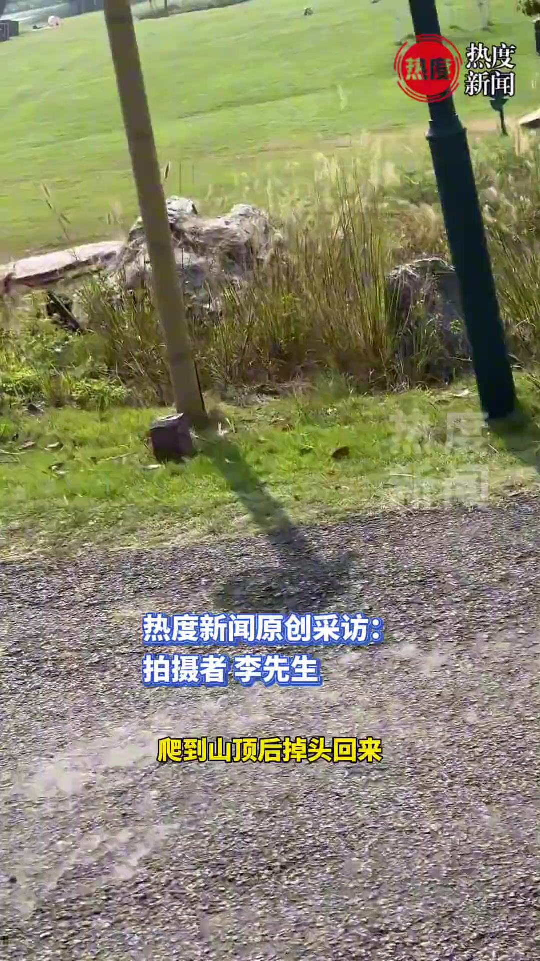 两队人骑多人自行车比赛，想加速超车，结果直接翻车进沟里