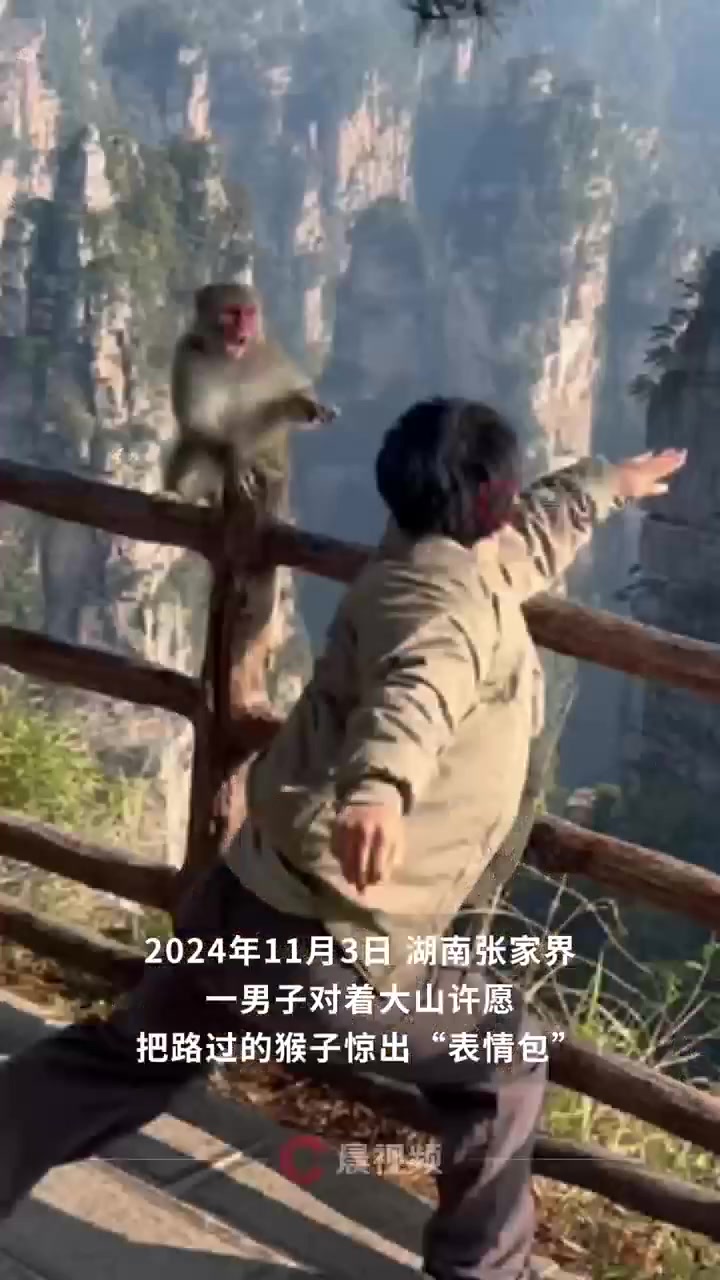 男子许愿惊出猴哥表情包景区：经常有人喊猴子已见怪不怪了