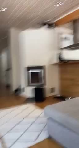 小猫咪能有什么坏心眼呢你别上来了快给我下去