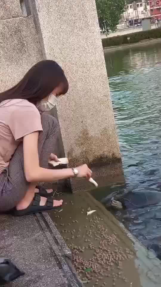 喂乌龟时，悄悄潜来了一个不速之客