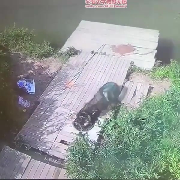 谁说鱼只有七秒钟记忆的！我看这条鱼明显不止！