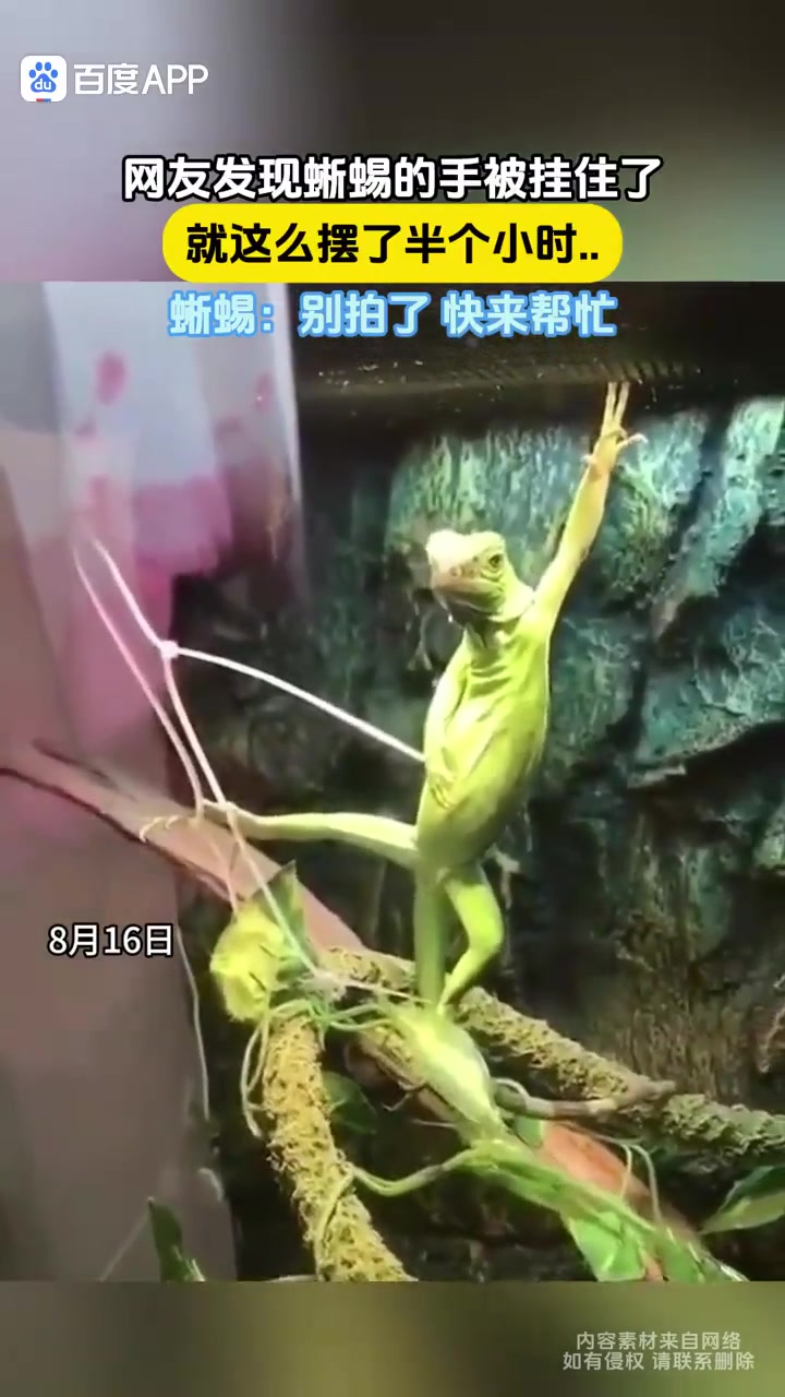 苦练这么多年，就等这天了
