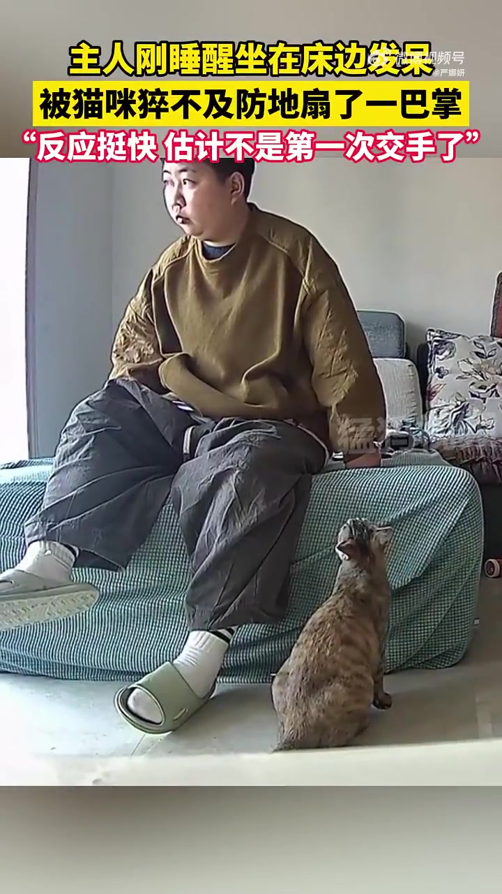 主人刚睡醒坐在床边发呆，被猫咪猝不及防地扇了一巴掌