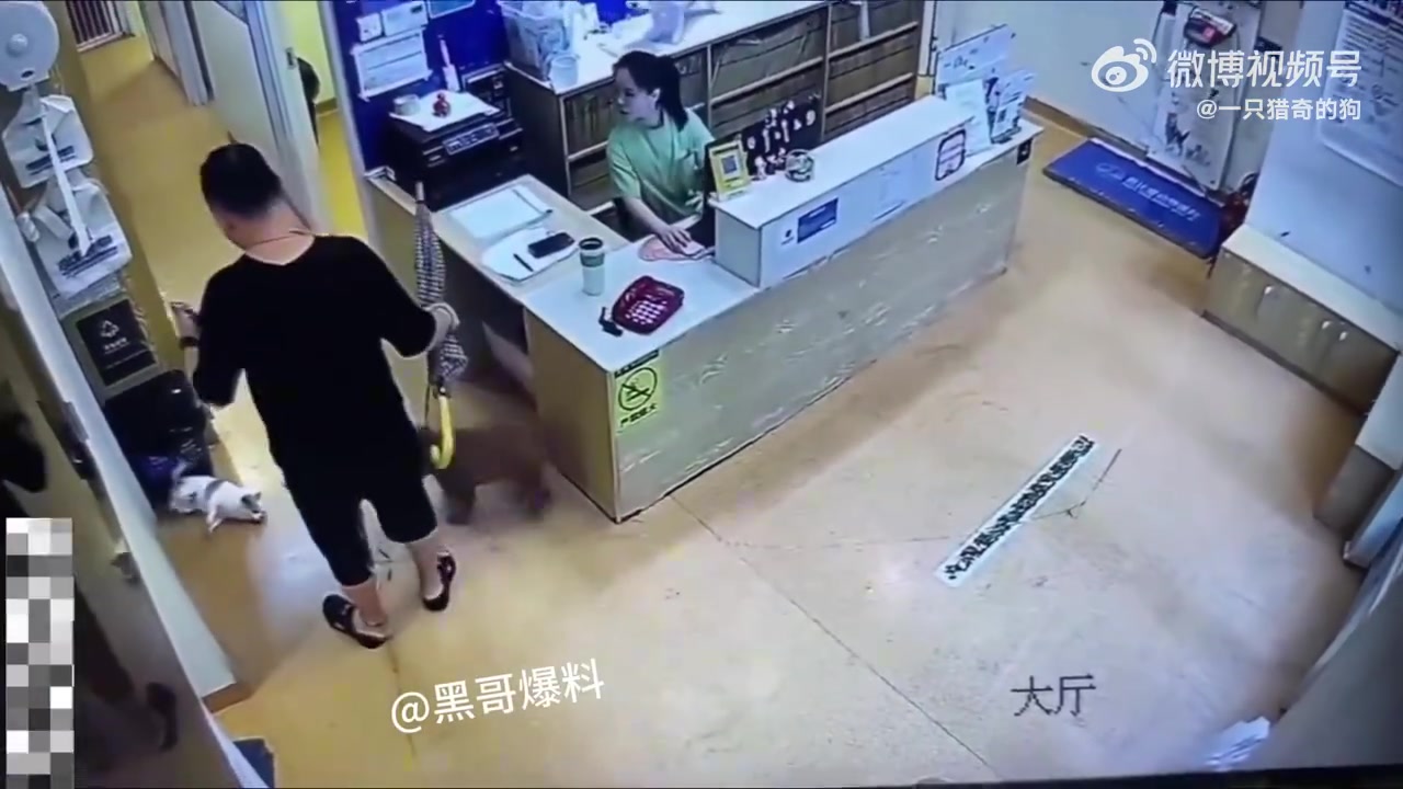 养狗的人不都是爱狗人士吗为什么这样对待小狗！