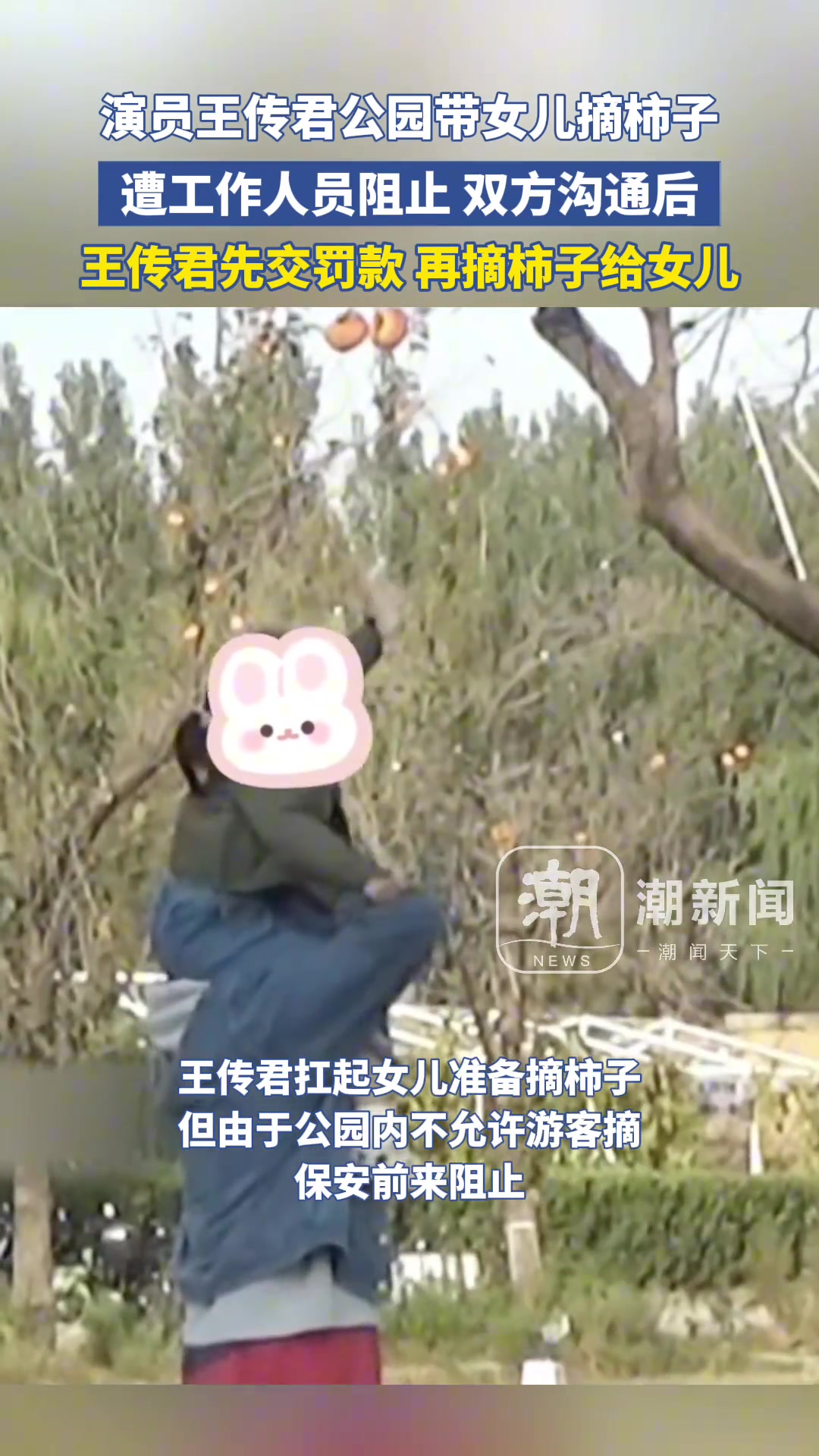王传君为女儿先交罚款再摘柿子
