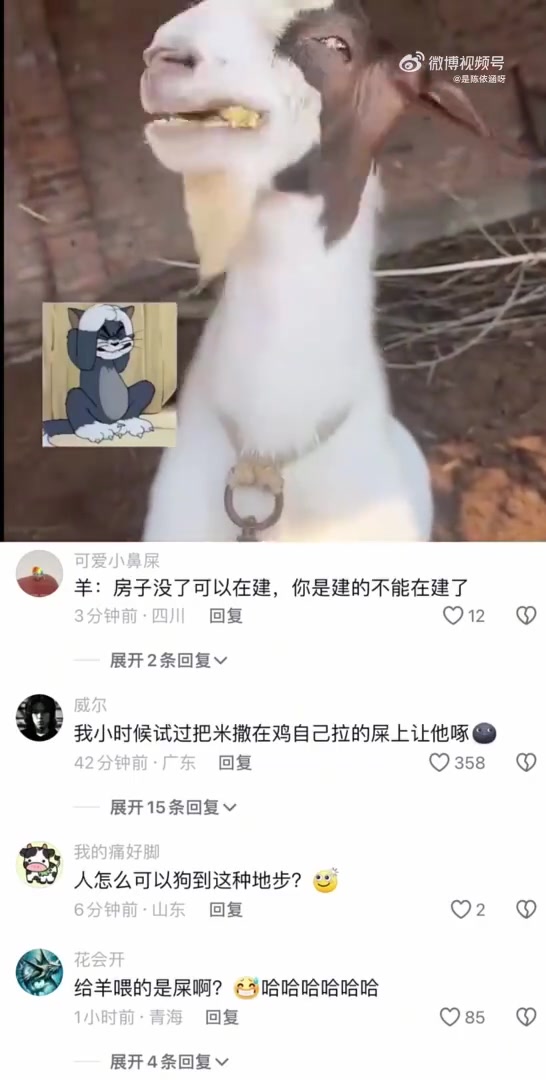 真给你原汤化原食了！羊：吃到正宗的羊瘪汤了！