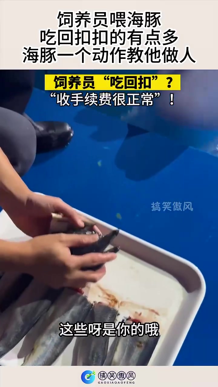 饲养员喂海豚，吃回扣扣的有点多，海豚一个动作教他做人