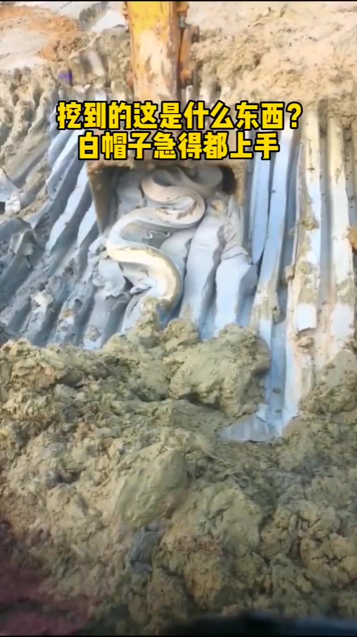 挖到的这是什么东西白帽子急得都上手了