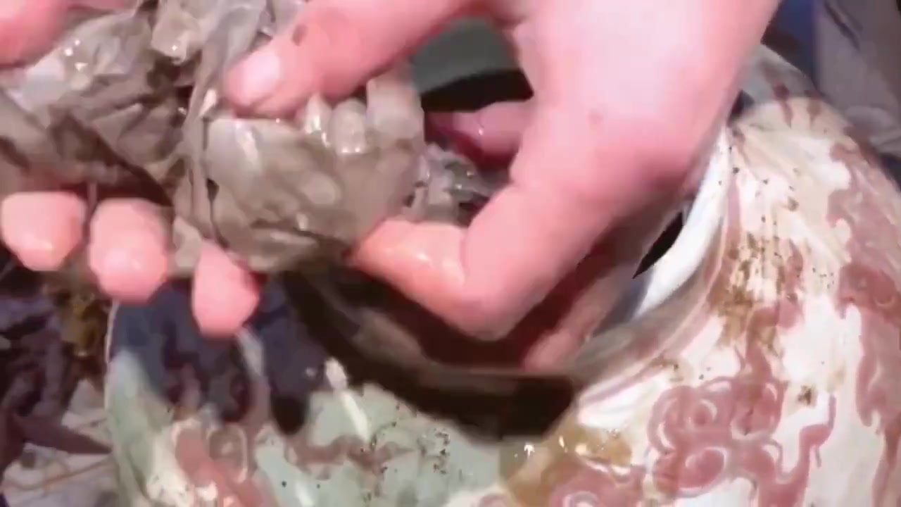 爷爷临走时留下来的，今天老爸把它打开了，看看里面有什么