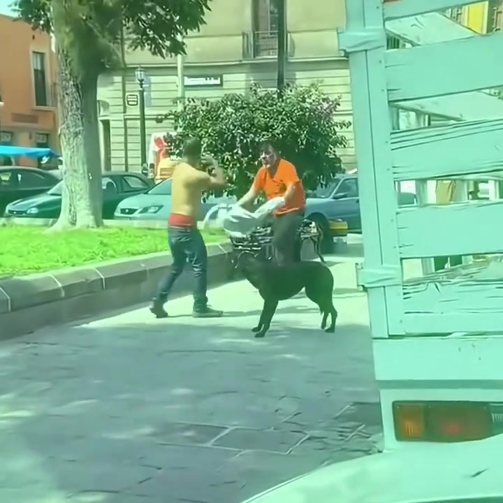 以为是个战士，结果是个召唤师！