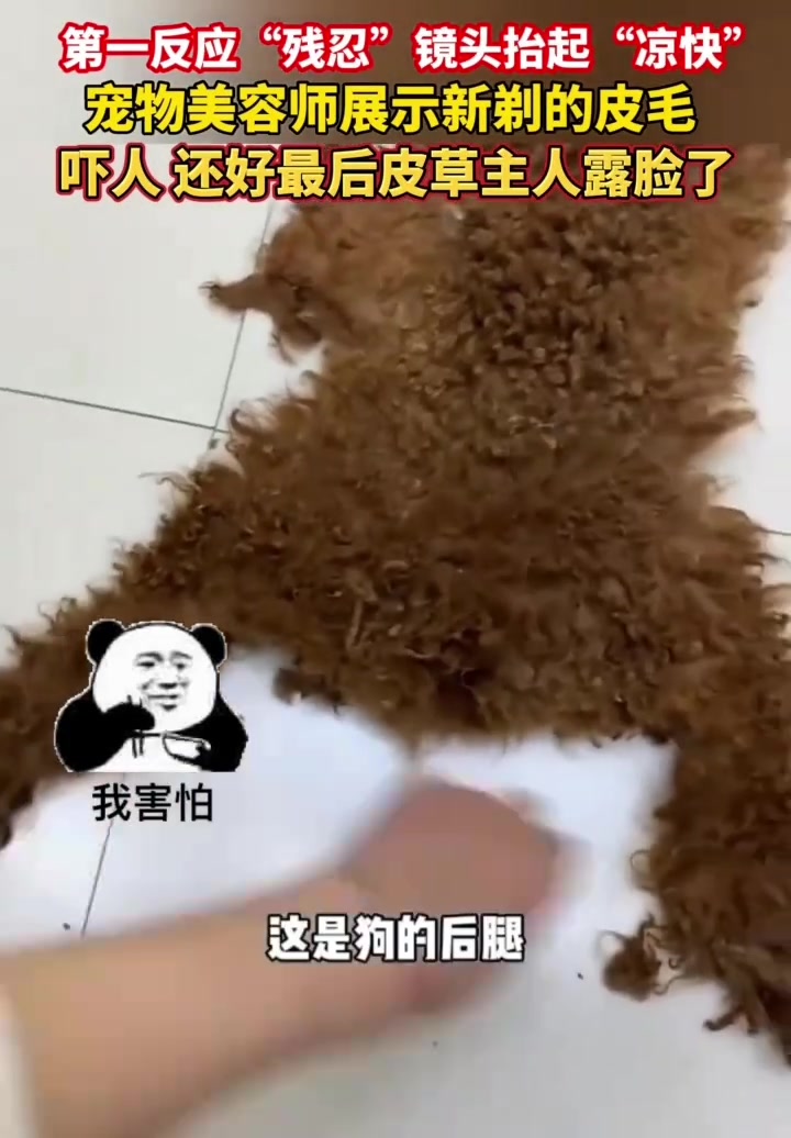 好手法，哈哈哈哈哈哈哈