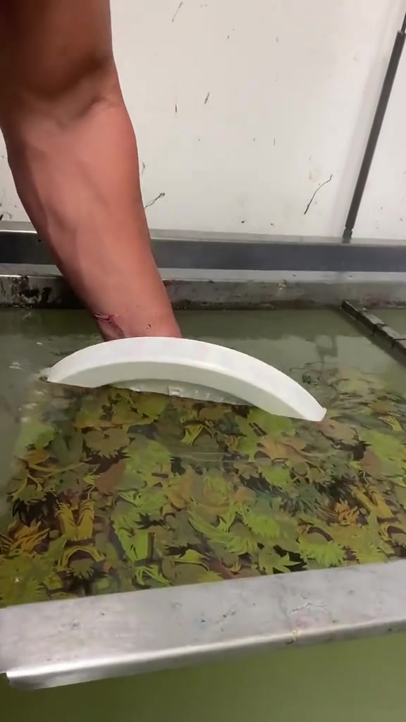 天呐.....这是怎么做到的