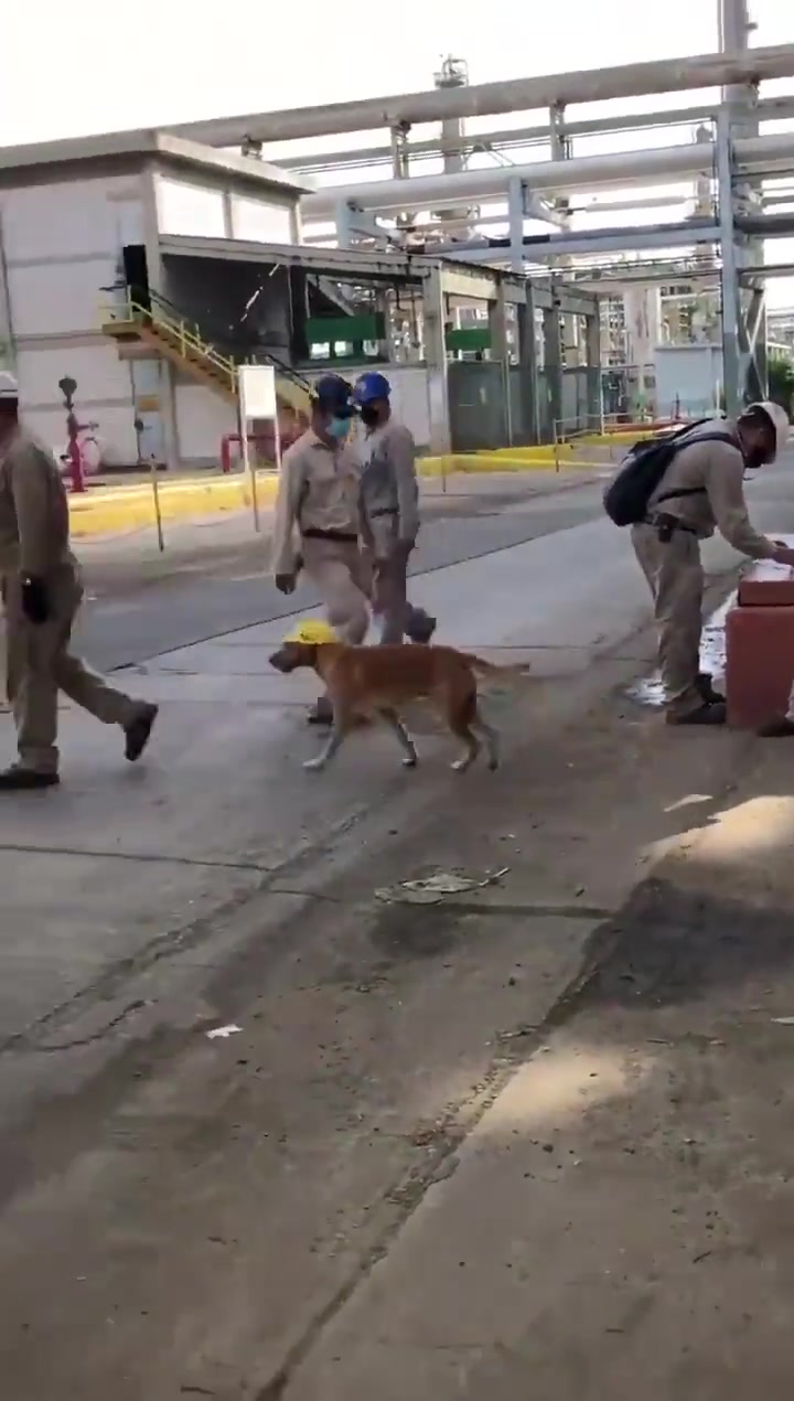 不知道监理看人低不低