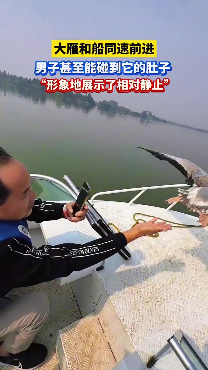 大雁和船同速前进