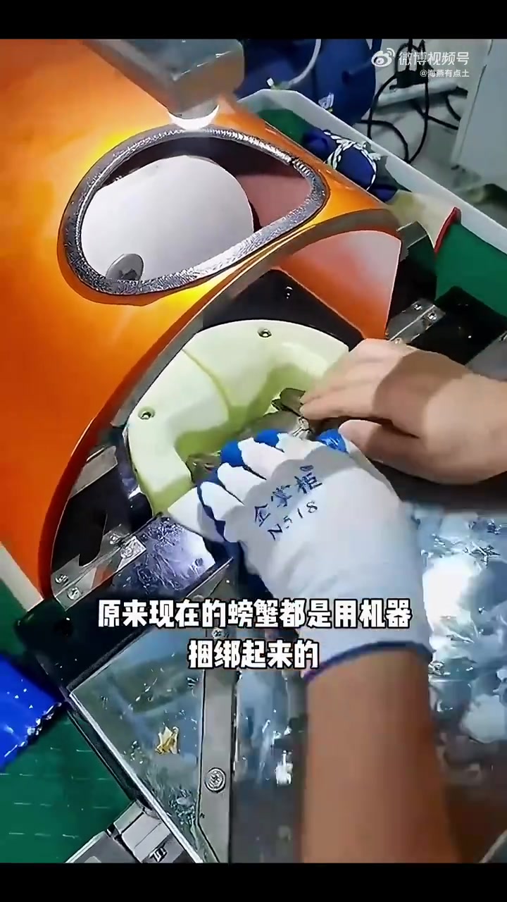 螃蟹原来是用机器捆绑的呀