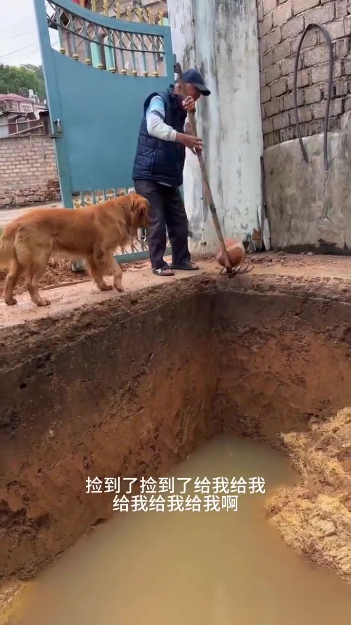 狗狗：爷爷捡完球了还要捡我