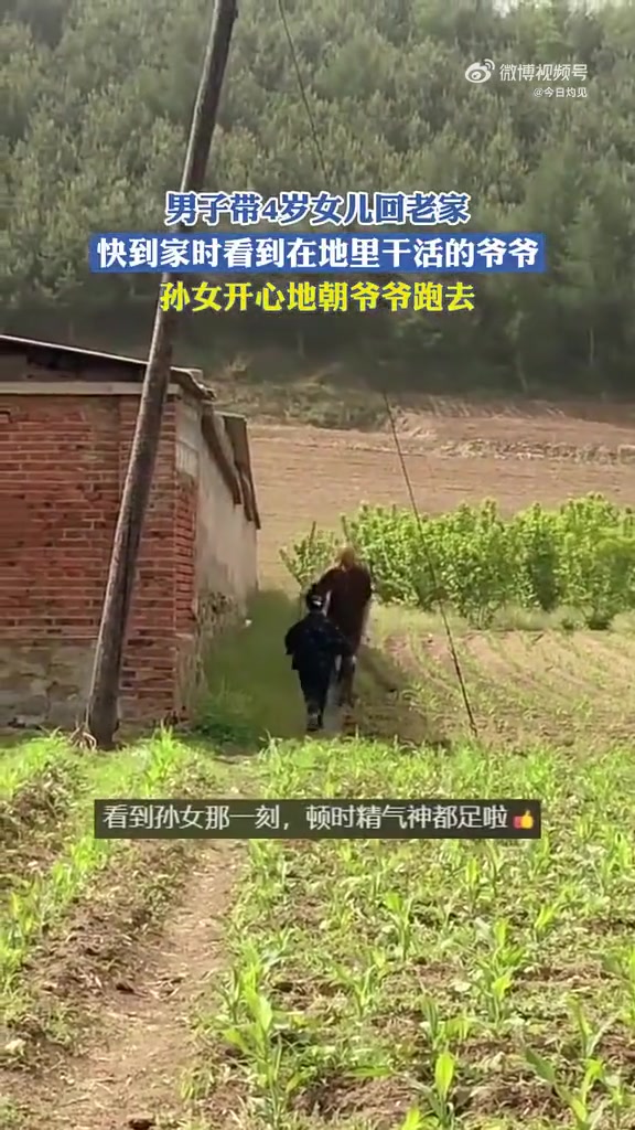 孙女看到地里干活的爷爷，开心奔跑的场景太暖心