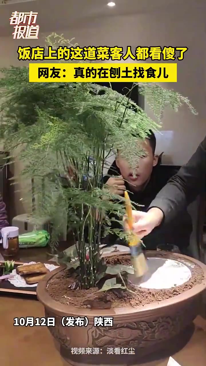 现在都要在土里找吃的了不会更好吃只会贵几倍！！