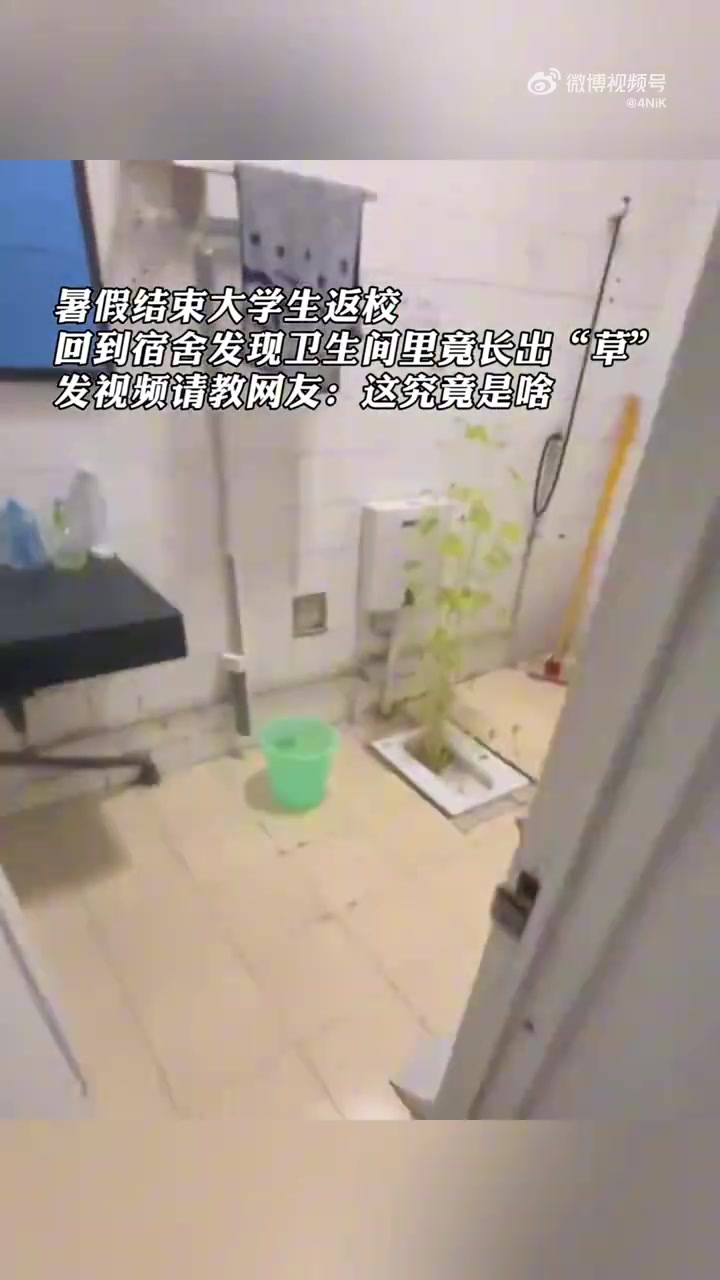 大学生暑假2个月后返校，发现寝室的厕所竟长“草”！