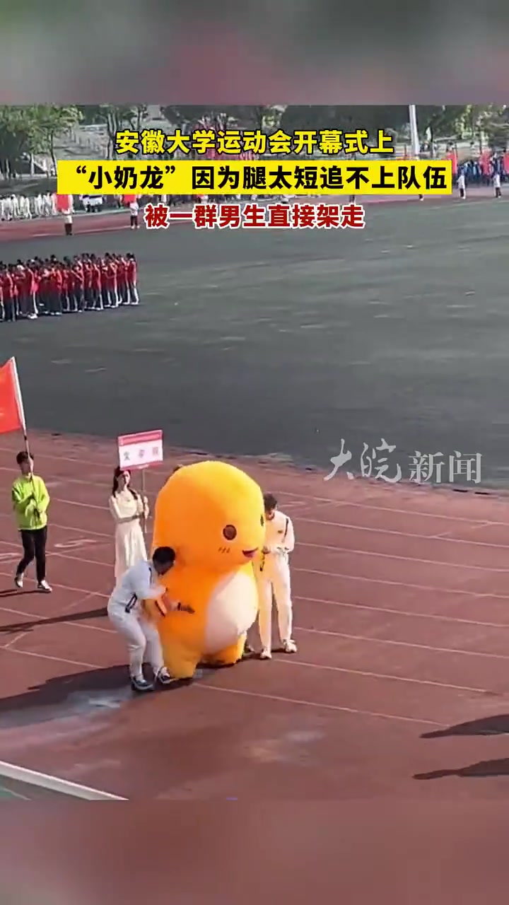 大学运动会上“小奶龙”因为腿太短追不上队伍，被男生直接架走