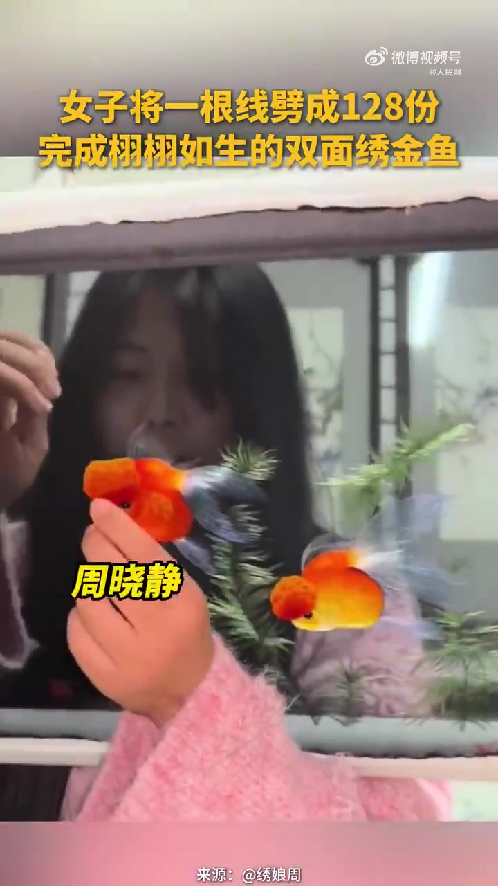 飘逸灵动！双面绣金鱼主打一个栩栩如生