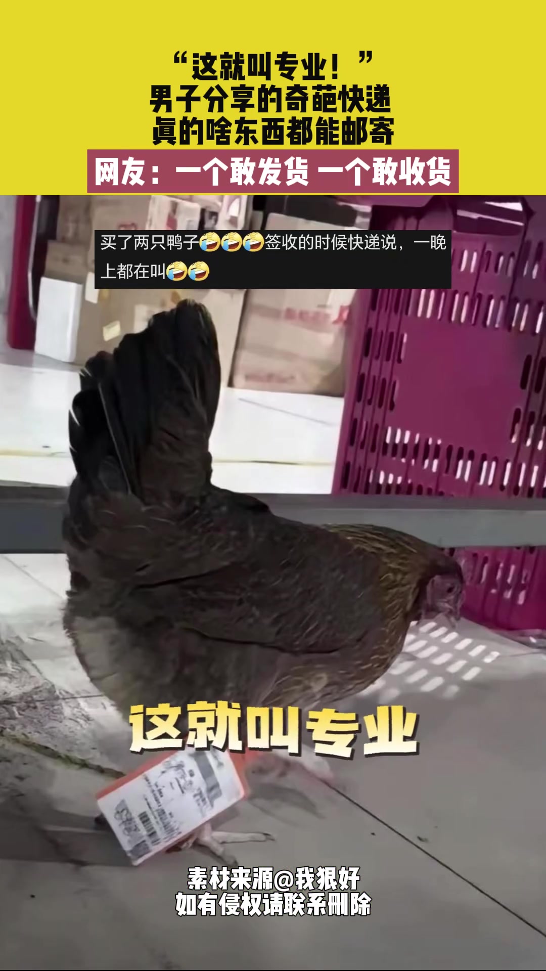 这就叫专业啥东西都可以邮寄