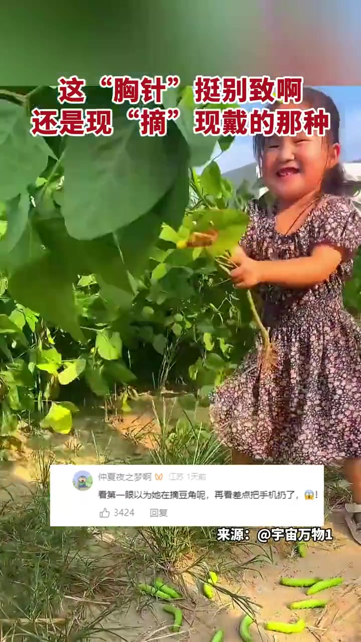 这“胸针”挺别致啊还是现“摘”现戴的那种