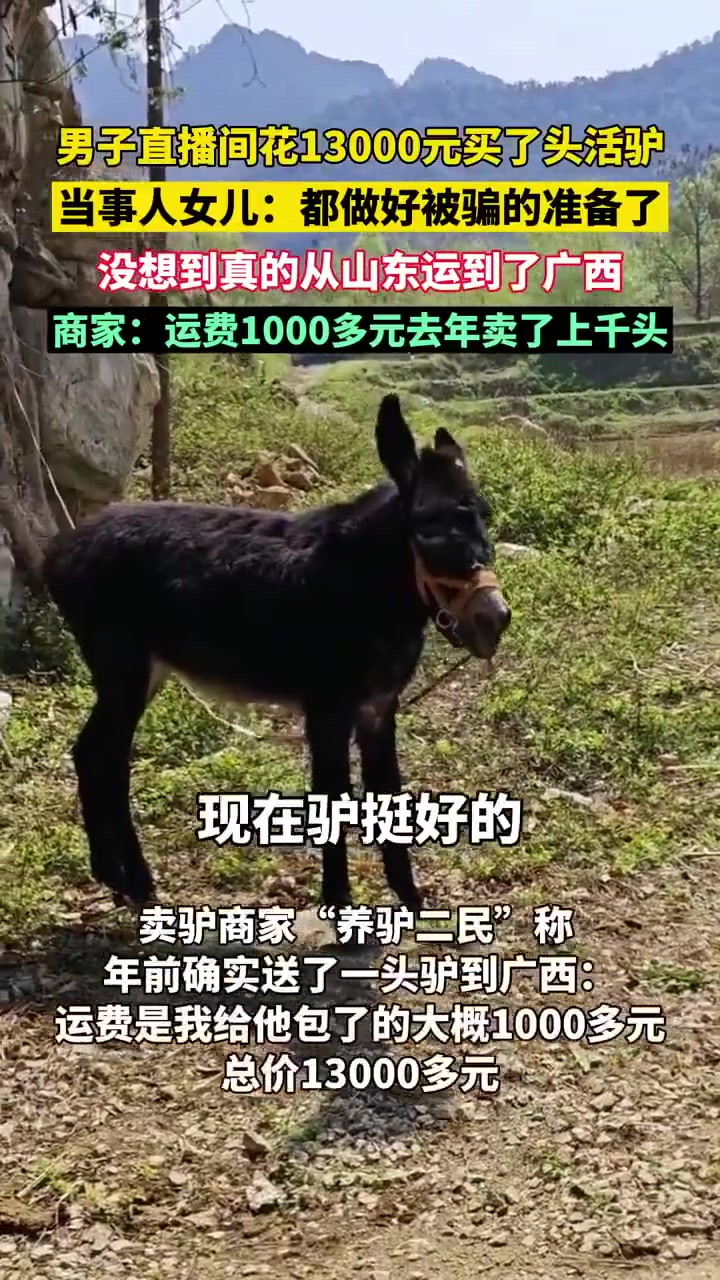 男子直播间花1W3买了头活驴