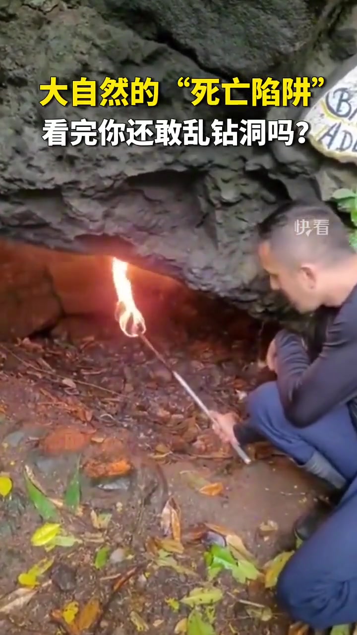 大自然的“死亡陷阱”看完你还敢乱钻洞吗