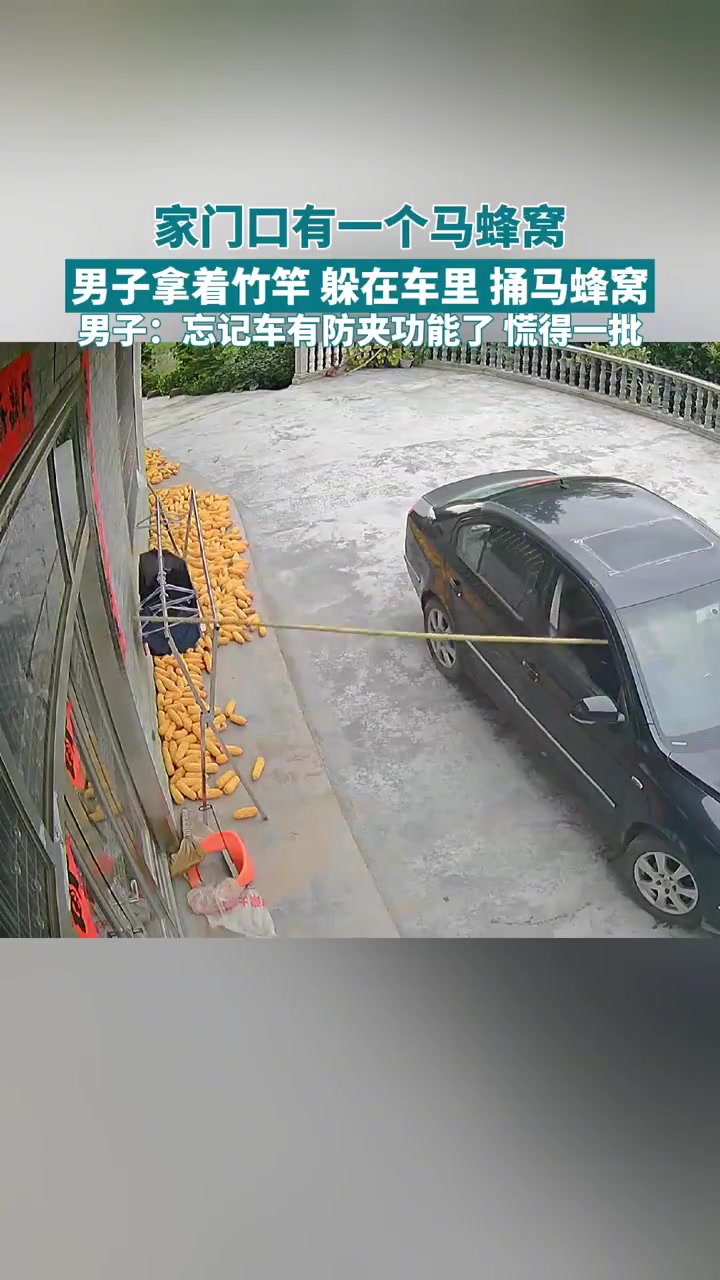 家门口有一个马蜂窝男子拿着竹竿躲在车里捅马蜂窝