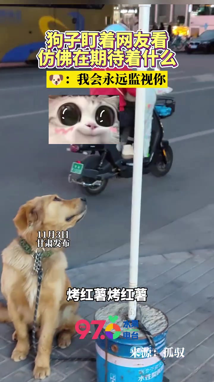 狗：真的不给我吃点吗