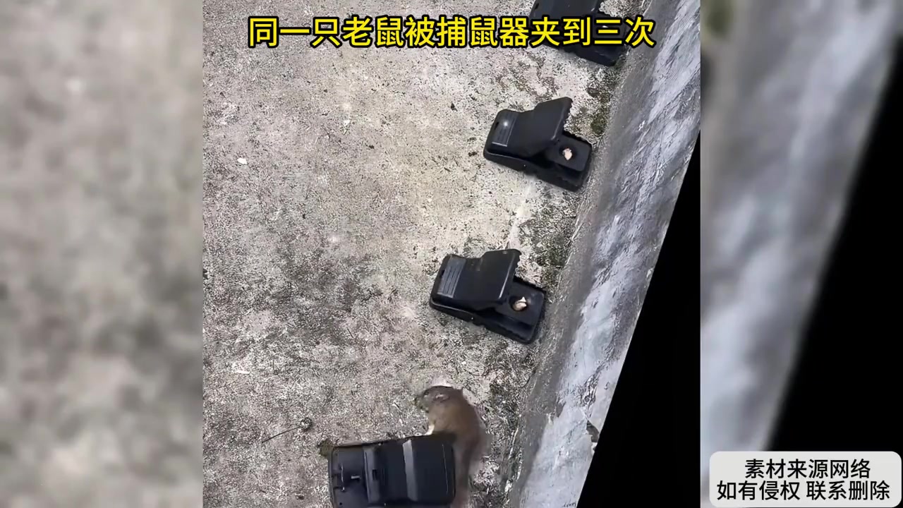 大难不死必有大难