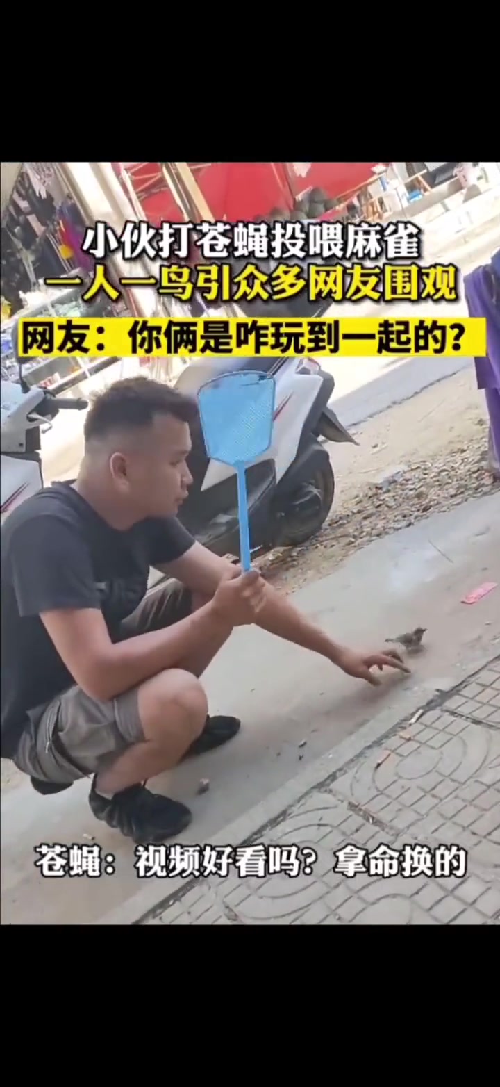 苍蝇好看不我拿命换的