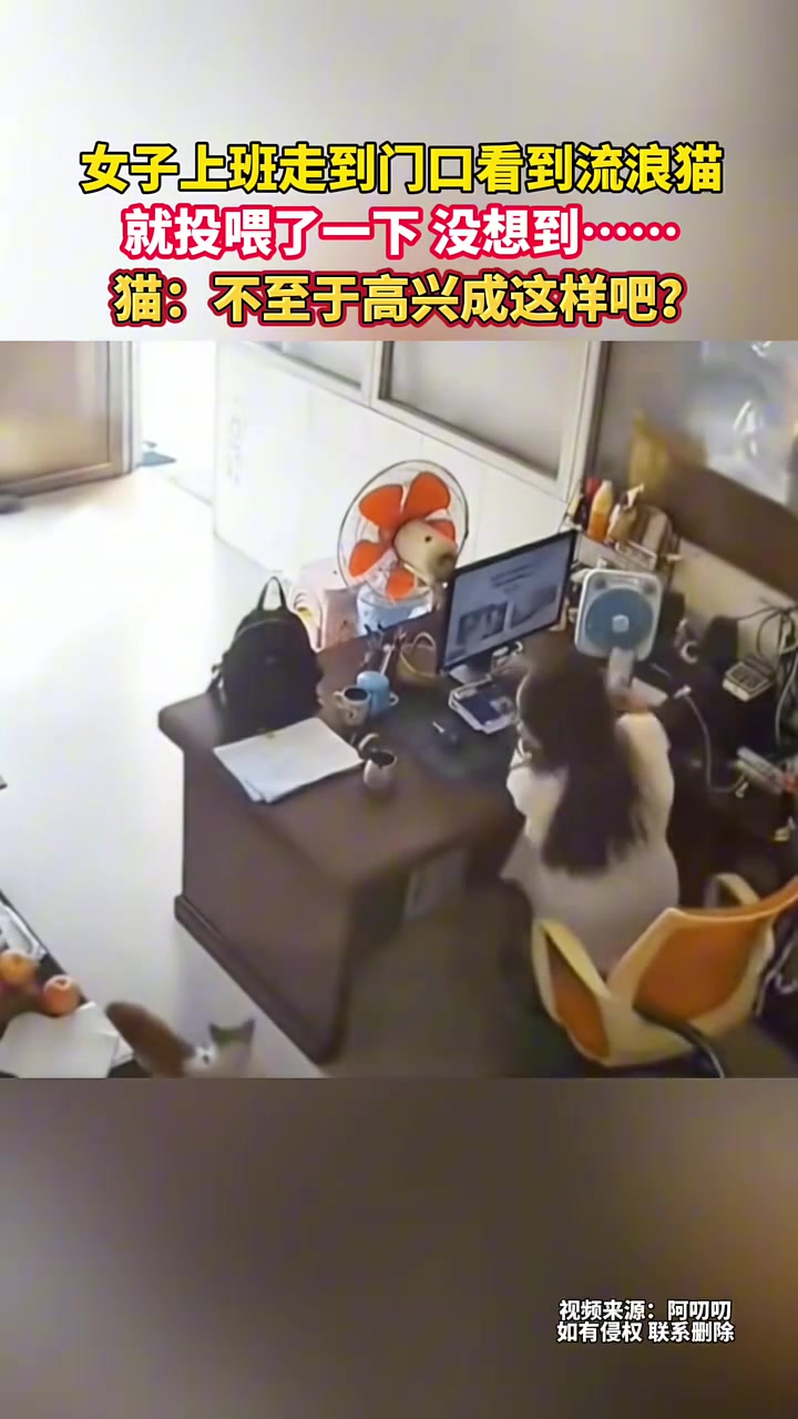 女子上班走到门口看到流浪猫，就投喂了一下，没想到