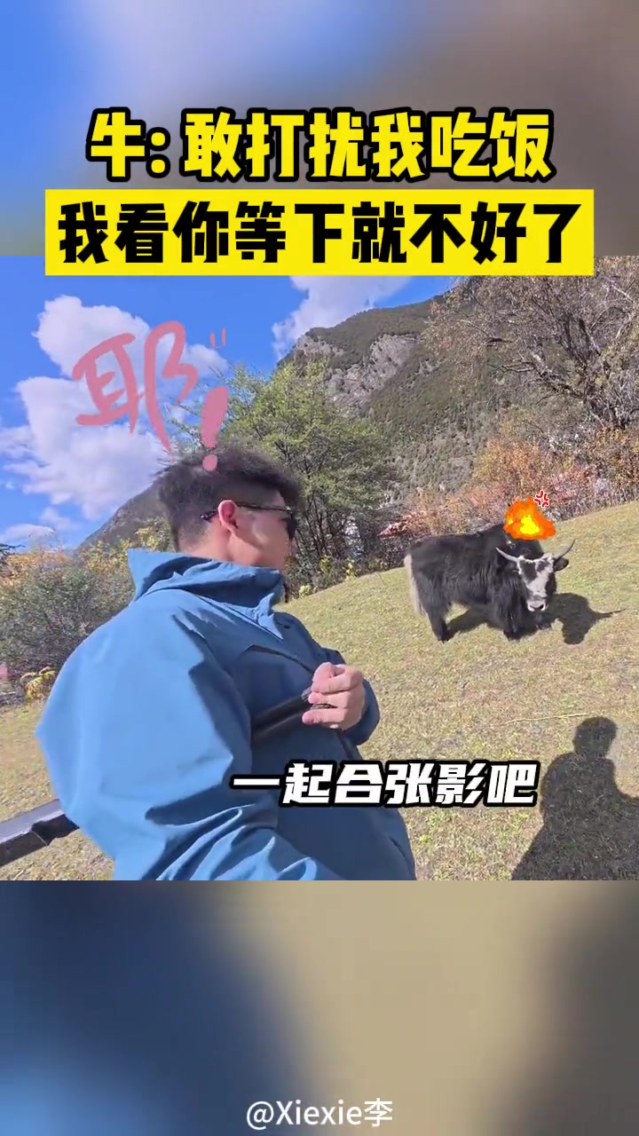 牛：敢打扰我吃饭等下你就不好了