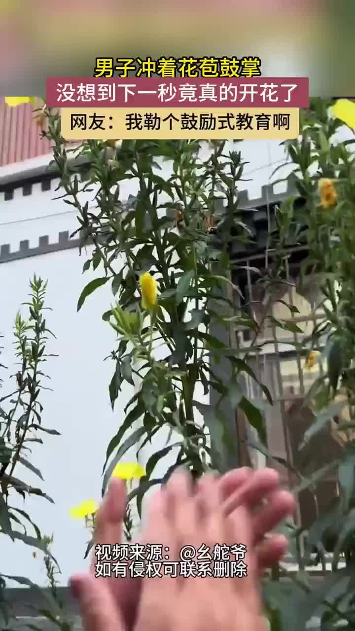 男子冲着花苞鼓掌花谢谢大家的鼓励，我想开了！