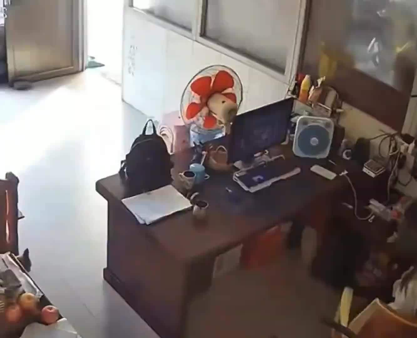 猫：没想到你这么开心，都吓我一跳
