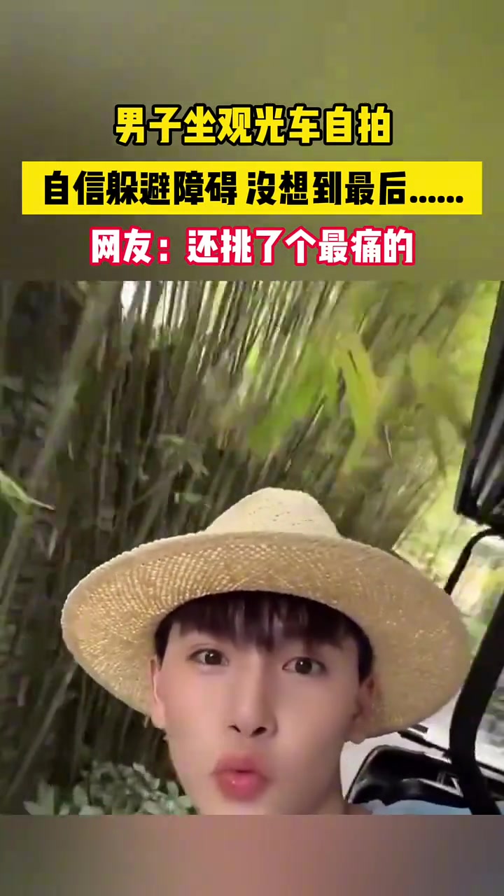 男子坐观光车自拍，自信躲避障碍，没想到最后！