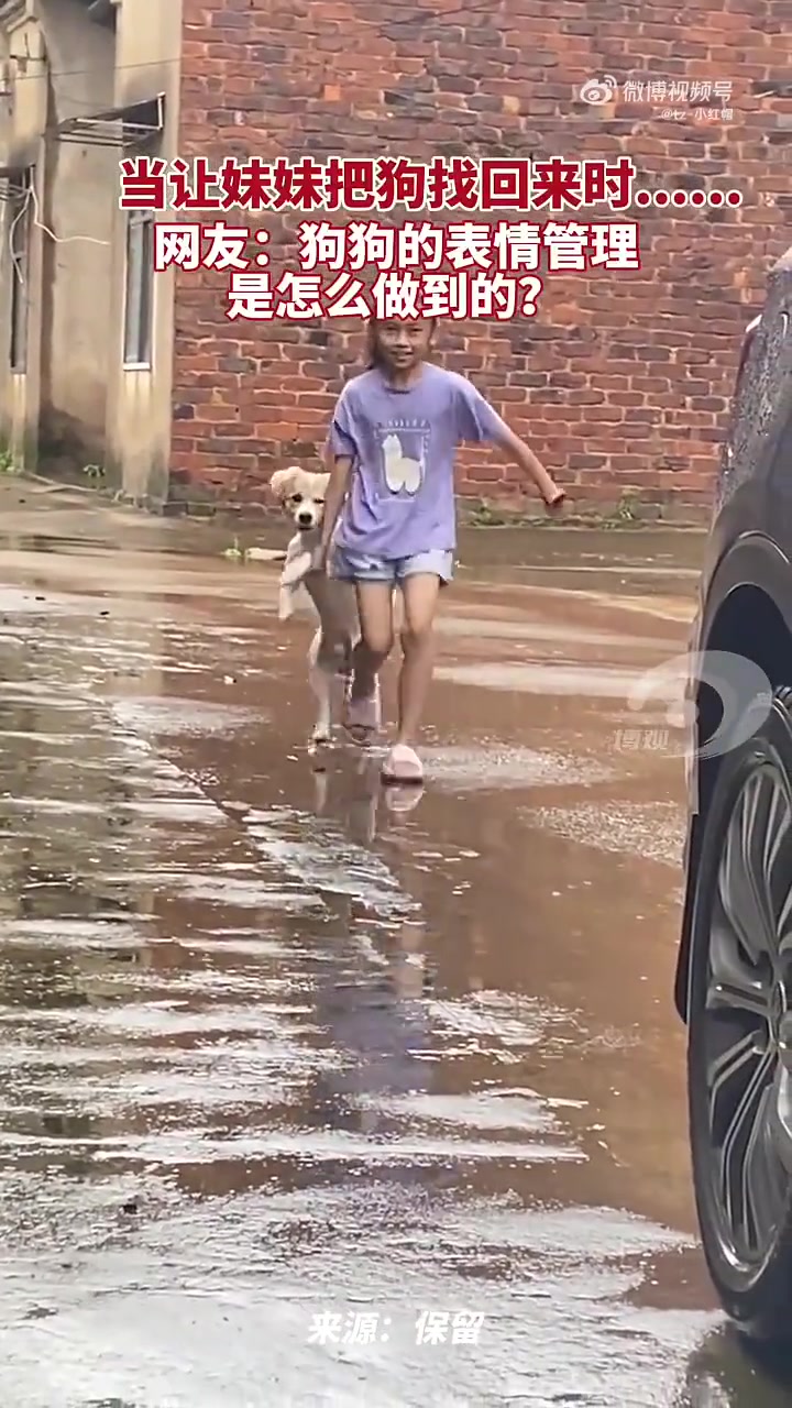 狗子：慢点你慢点，甩的肚皮疼！