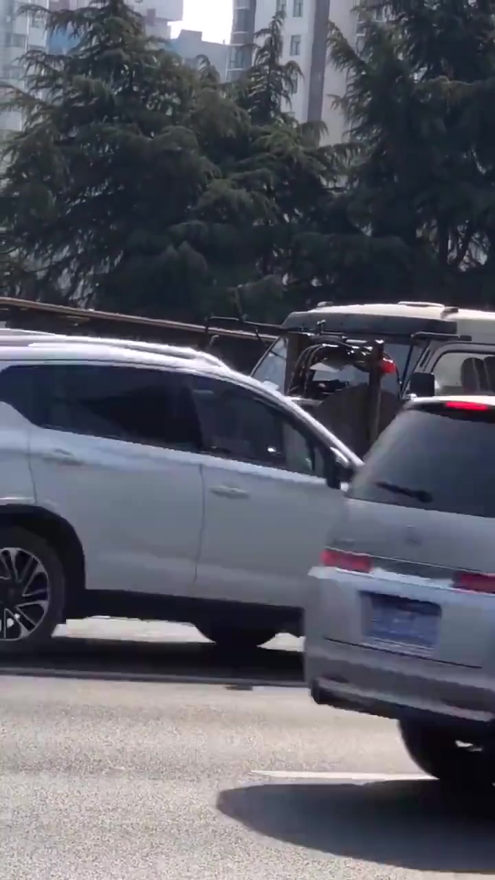 我还一直以为栏杆是靠雨水冲洗呢