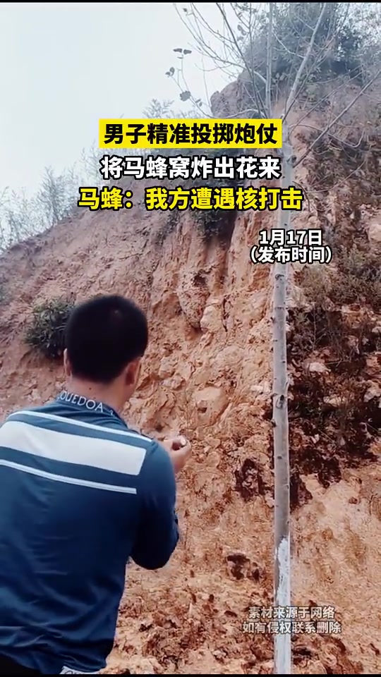 男子精准投掷炮仗，将马蜂窝炸出花来，马蜂：我方遭遇核打击