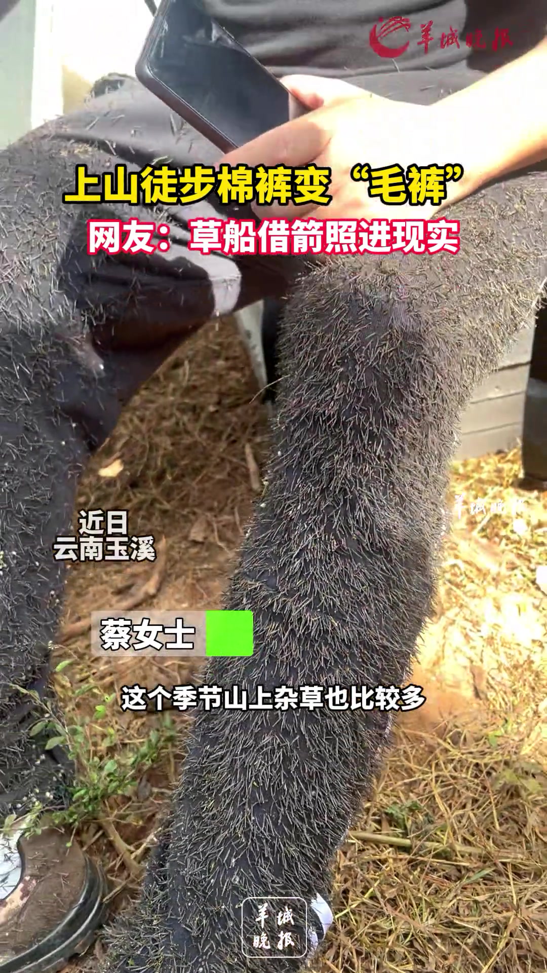 上山棉裤变“毛裤”