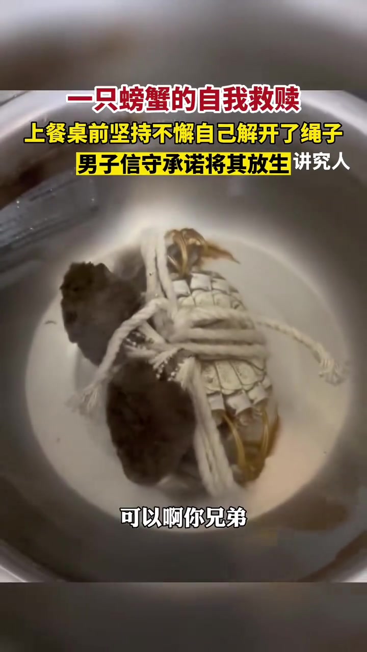 一只螃蟹的自我救赎
