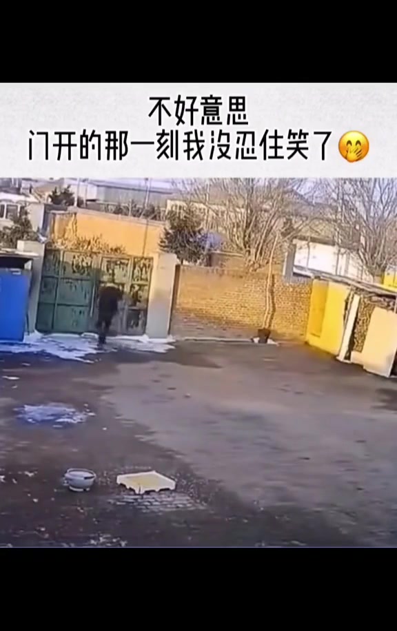 门打开那一刻我笑了