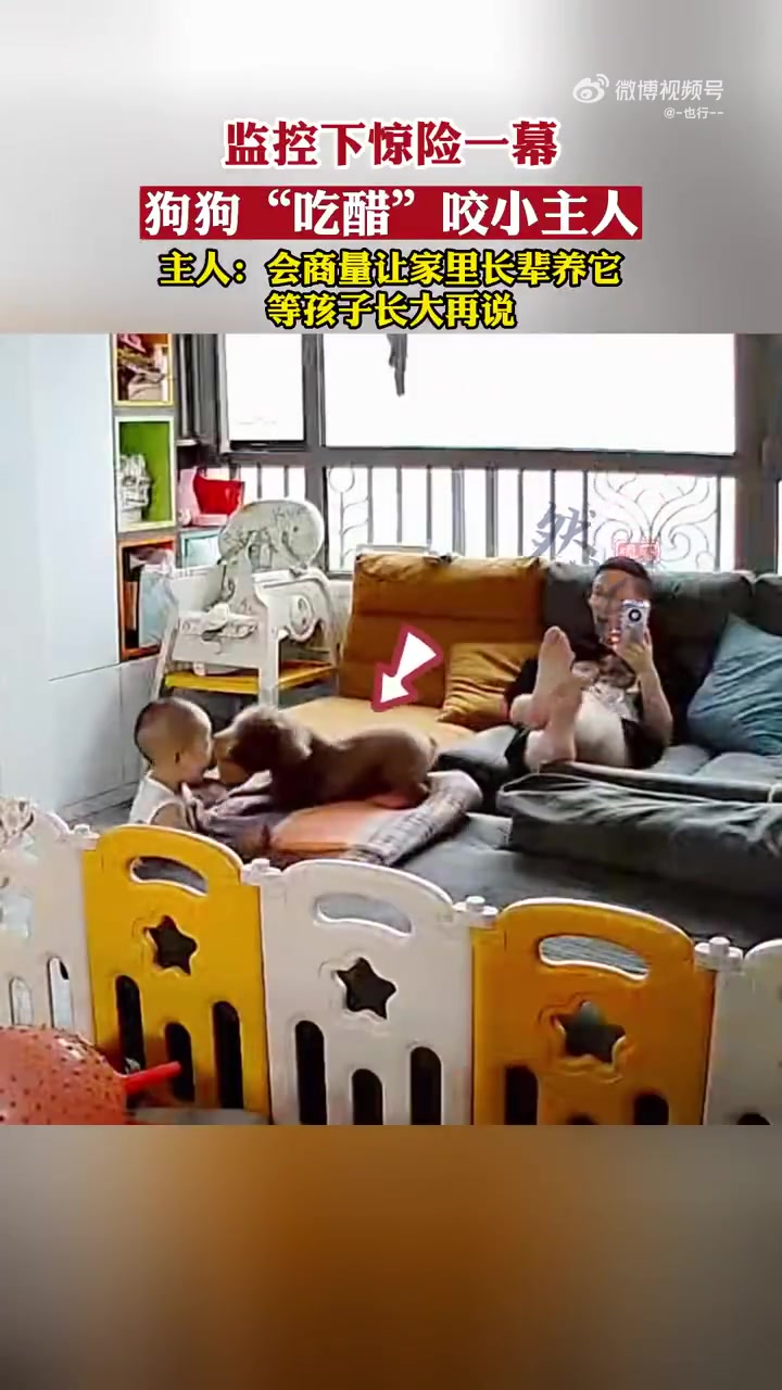 监控下惊险一幕，狗狗“吃醋”咬小主人